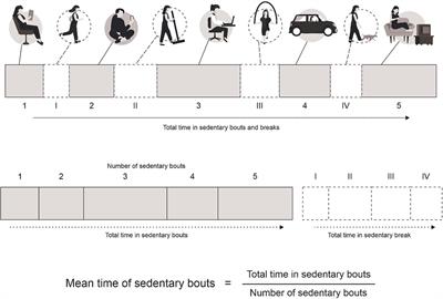 Patterns of sedentary behavior in adults: A cross-sectional study